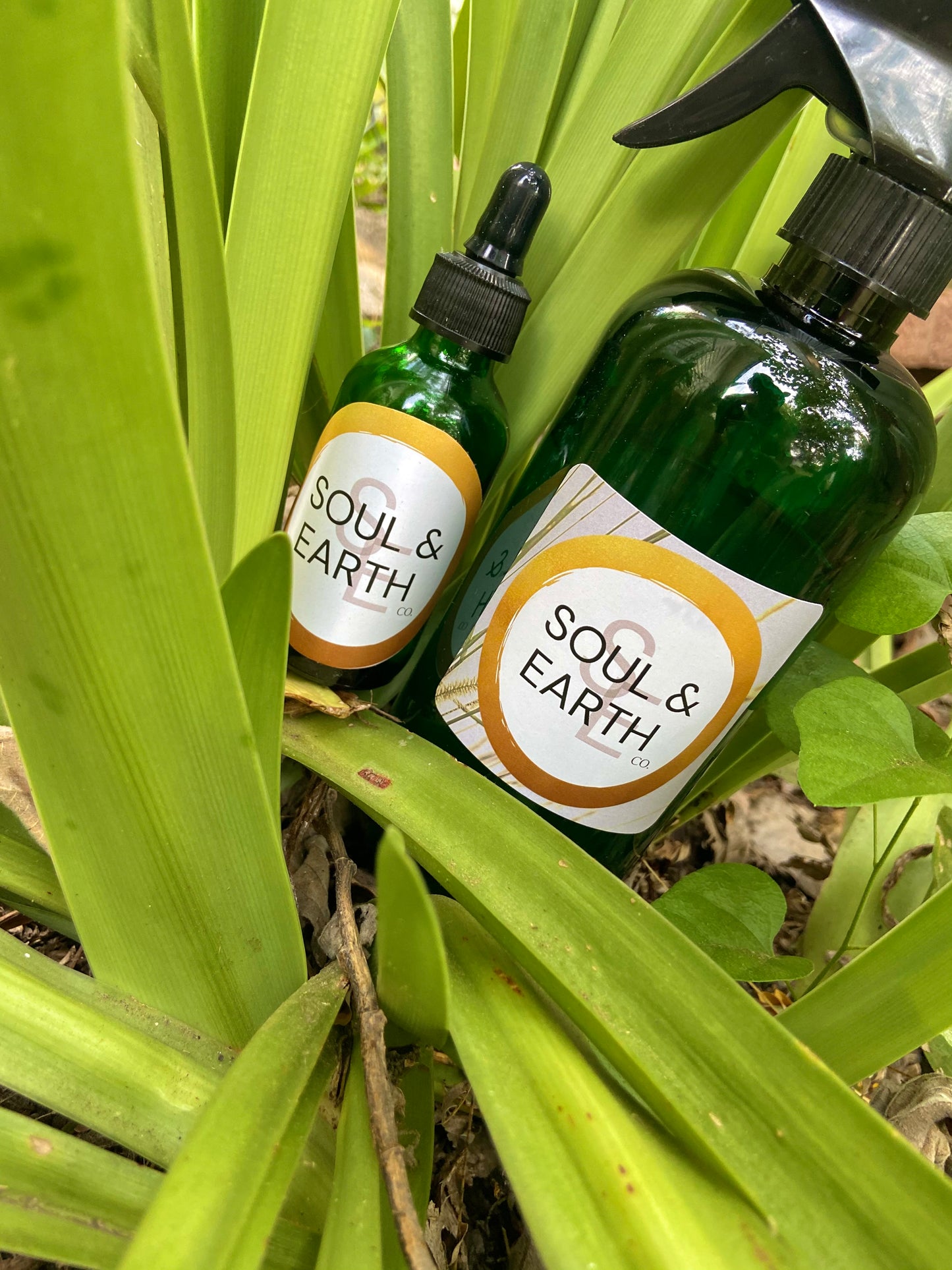 Hydration Growth Bundle